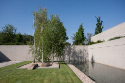 Jardín en la Moraleja. Luis Vallejo