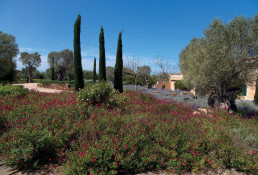 Sa Vallet Jardin privado en Mallorca. Luis Vallejo