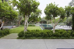 Jardín y piscina, Tel Aviv Estudio de paisajismo Luis Vallejo
