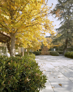 Jardín de la Fundación Juan March Luis Vallejo