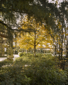 Jardín de la Fundación Juan March Luis Vallejo