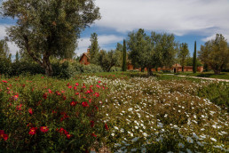 Jardín de Jaras Luis Vallejo