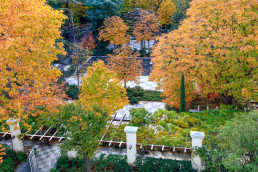 Jardín de la Fundación Juan March Luis Vallejo