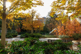 Jardín de la Fundación Juan March Luis Vallejo