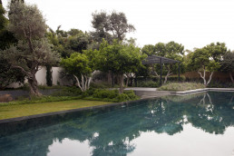 Jardín y piscina, Tel Aviv Estudio de paisajismo Luis Vallejo