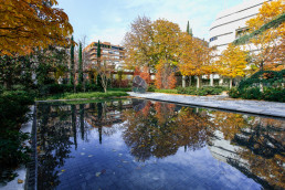 Jardín de la Fundación Juan March Luis Vallejo