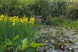 Finca en Badajoz. Luis Vallejo