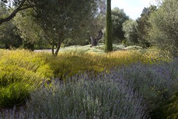 Sa Vallet Jardin privado en Mallorca. Luis Vallejo