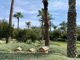 Hotel Royal Mansour Marrakech Luis Vallejo