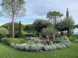 Jardín en Saint Tropez. Luis Vallejo