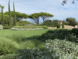 Jardín en Saint Tropez. Luis Vallejo