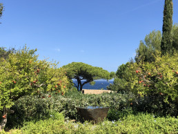 Jardín en Saint Tropez. Luis Vallejo