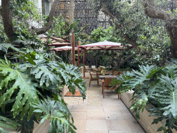Hotel Royal Manseur Casablanca. Patio de los chirimoyos. Luis Vallejo