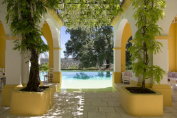 Finca en Badajoz. Luis Vallejo
