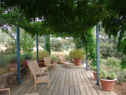 Finca en Badajoz. Luis Vallejo