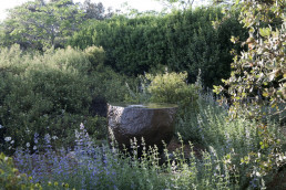 Finca en Badajoz. Luis Vallejo