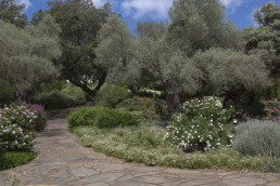 Finca en Badajoz. Luis Vallejo