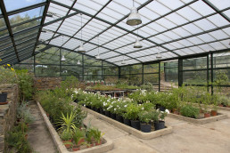 Finca en Badajoz. Luis Vallejo