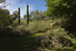 Finca en Badajoz. Luis Vallejo