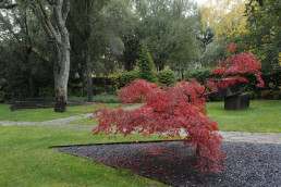 Jardín en el Escorial Estudio de paisajismo Luis Vallejo
