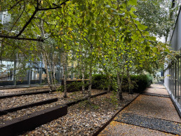 Hospital Universitario de Burgos