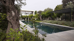Jardín y piscina, Tel Aviv Estudio de paisajismo Luis Vallejo