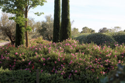 Jardín de Jaras Luis Vallejo