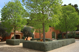 Jardín de Jaras Luis Vallejo
