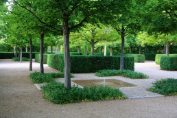 Jardín de Jaras Luis Vallejo