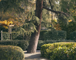 Jardín de la Fundación Juan March Luis Vallejo