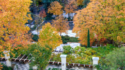 Jardín de la Fundación Juan March Luis Vallejo