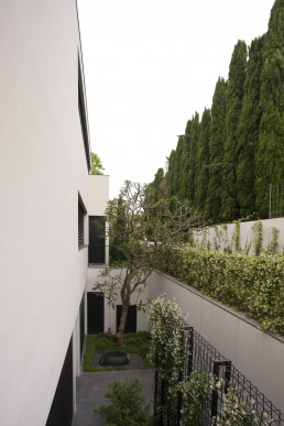 Jardín y piscina, Tel Aviv Estudio de paisajismo Luis Vallejo