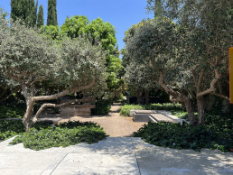 Jardín privado Tel Aviv Luis Vallejo Estudio de paisajismo