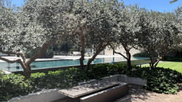 Jardín privado Tel Aviv Luis Vallejo Estudio de paisajismo