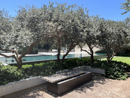 Jardín privado Tel Aviv Luis Vallejo Estudio de paisajismo