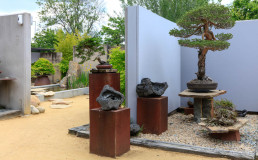 Museo Bonsai Luis Vallejo
