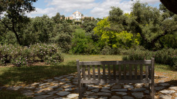 Finca en Badajoz. Luis Vallejo