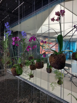 Orquideas. Edificio Foster. Luis Vallejo