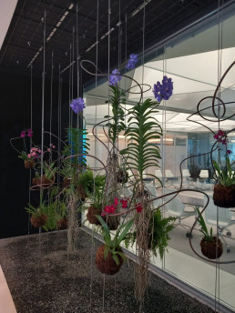 Orquideas. Edificio Foster. Luis Vallejo
