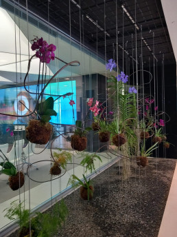 Orquideas. Edificio Foster. Luis Vallejo