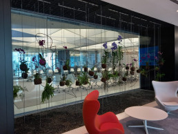 Orquideas. Edificio Foster. Luis Vallejo