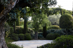Jardín en Saint Tropez. Luis Vallejo