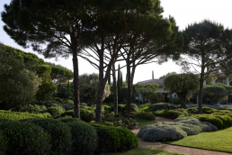 Jardín en Saint Tropez. Luis Vallejo