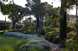 Jardín en Saint Tropez. Luis Vallejo