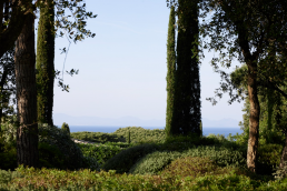 Jardín en Saint Tropez. Luis Vallejo