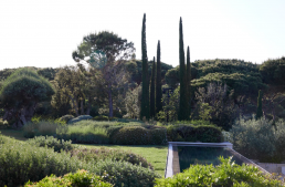 Jardín en Saint Tropez. Luis Vallejo