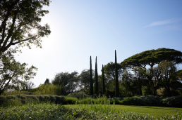 Jardín en Saint Tropez. Luis Vallejo