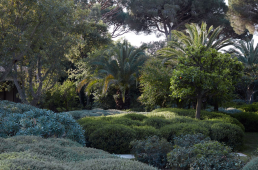 Jardín en Saint Tropez. Luis Vallejo