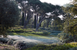 Jardín en Saint Tropez. Luis Vallejo