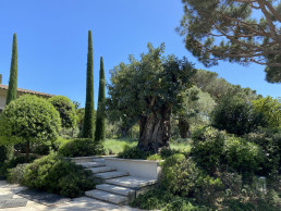 Jardín en Saint Tropez. Luis Vallejo
